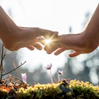 EL-PAPEL-DE-LA-SOCIEDAD-ESPAOLA-DE-FERTILIDAD